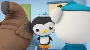 The Octonauts Episode 39 The Enormous Elephant Seal