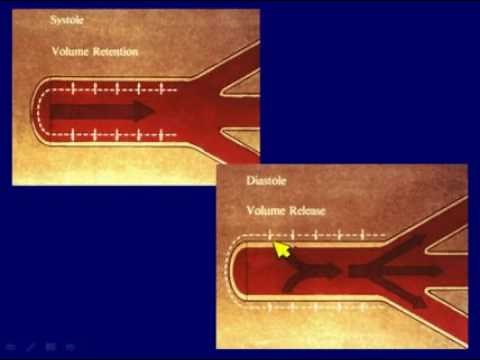 Vascular Ultrasound Imaging & Doppler Upper Extremity Arteries