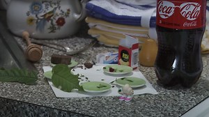 Jenny Slate's Marcel The Shell finds its home at A24