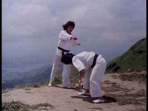 15K views · 365 reactions | The Art of High-Impact Kicking ( 4 / 5 ) | Karate Science | Facebook