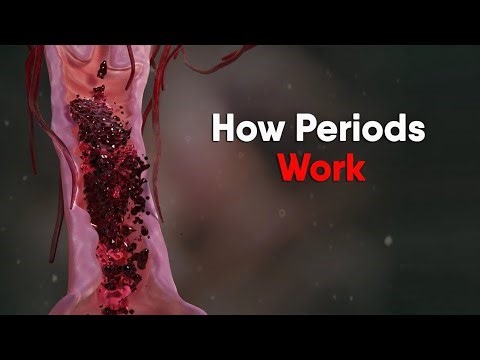 What Really Happens During Your Period (Menstrual Cycle Explained) #MenstrualCycle#HowPeriodsWork