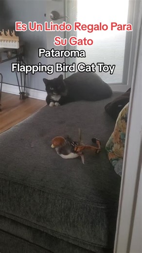 Juguete de Gato Flapping Bird de Pataroma