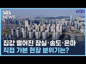 잠실·송도·은마 집값 6억씩 떨어졌다는데...현장에 직접 가봤습니다 / SBS