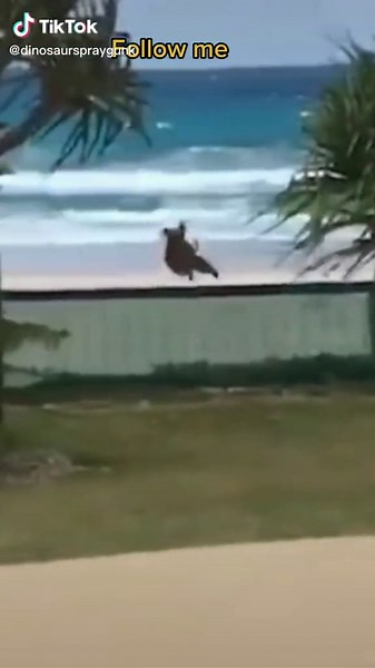 What's you learned?#viral #fyp #foryou #foryou #toys #toy #funny #funny #prank