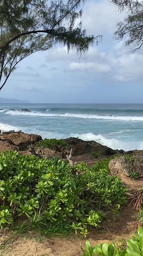 45 reactions · 7 comments | Winter waves just starting to return! | Scott Rhoads | Facebook