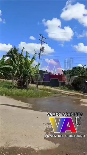 Vamos Acarigua on Instagram: "🤦🏽‍♂️⚡💥👉🏽 12 DÍAS SIN ELECTRICIDAD EN VILLA ARAURE: MÁS DE 130 FAMILIAS CLAMAN POR AYUDA TRAS EXPLOSIÓN DE TRANSFORMADOR. Araure Portuguesa. #02deoct 🔰 Dramática Situación en Villa Araure I, Sector La Coromoto. 📌 Más de 130 familias de la Avenida 23 del sector La Coromoto en Villa Araure I denuncian llevar 12 días sin servicio eléctrico debido a la explosión de un transformador ocurrido el pasado 21 de septiembre. 📍 Los afectados, entre los que se encuentran