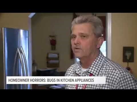 Find Out How to Rid Your Appliances of Roaches, Ants, & Other Pests