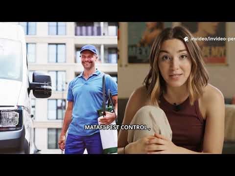 Best pest control service in UAE