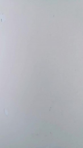 Exploring the Aesthetics of a Plain White Background