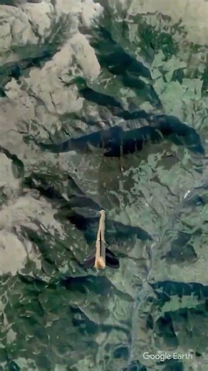 কত সুন্দর ছবি #illusion #facts #facts #hopticalillusion #comedyfilms #viral #shorts