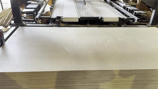 Birch Plywood 18mm 12mm 3mm Sheet 4x8 UV Prefinished Natural Wood Baltic Birch Plywood for Cabinet Furniture