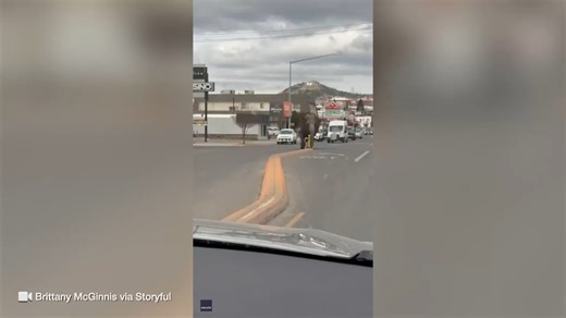An elephant got loose on Tuesday in Butte, Montana after escaping a traveling circus. The animal, reportedly named Viola, left the Jordan World Circus, which was set up at the Butte Civic Center, and was seen wandering around the town. A driver recorded video of the elephant crossing through traffic on a busy street and into a parking lot as a man gives chase. https://www.oregonlive.com/nation/2024/04/circus-elephant-escapes-roams-busy-street-in-montana.html?utm_campaign=theoregonian_sf&utm_medi