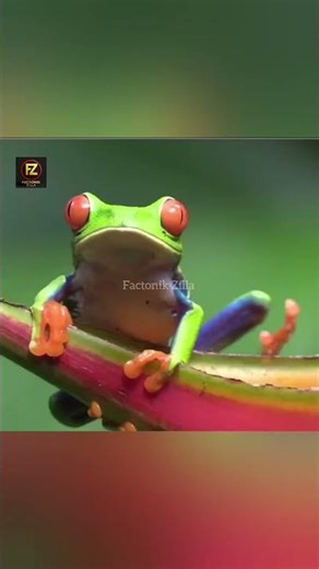 "These Facts Can Save Your Life One Day" 😳⚠️ #factonikzilla #nobitado #amazingfacts #facts