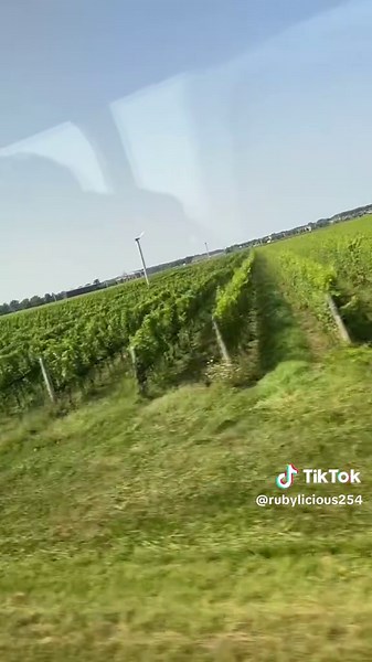 Ruby (@rubylicious254)’s videos with original sound - Ruby