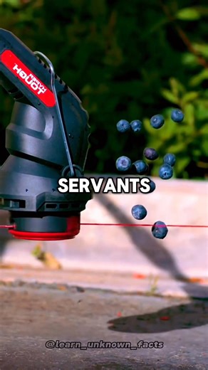 Weird history facts 🧠 No one knew about the last one 😱 #facts #randomfacts #factsyoudidntknow #historyfacts #LearnOnTikTok | Mind blowing