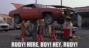 Rudy! Here, boy! Hey, Rudy!