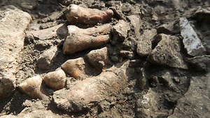 Lost Neanderthals that lived alone for 50,000 years found in French cave