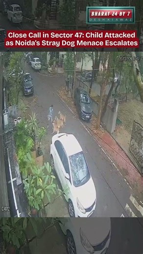 Child Attacked by Dog Pack in Noida #viralvideo #indianews