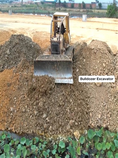 Pond Fill Project: Bulldozers and Trucks in Perfect Sync | Bulldozer Excavator
