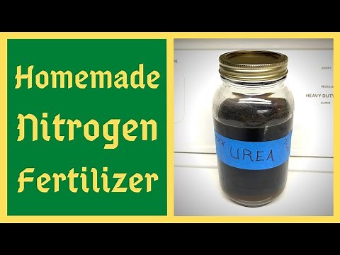 Homemade Nitrogen Fertilizer & Compost Activator - Urea/Human Urine - JADAM JLF