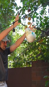 309K views · 6.1K reactions | Head vs Drop Test | Tyler Blanchard | Facebook