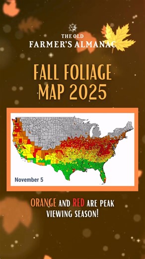 Check out our cool foliage map!! 🍂 Wondering when and where to see the best fall colors in 2025? Our Fall Foliage Map tracks peak leaf season across the U.S., helping you plan the perfect autumn getaway. From New England to the Smoky Mountains, discover 21 stunning leaf-peeping destinations and tips for catching peak foliage at just the right time! 🍂 Almanac.com/Foliage | The Old Farmers Almanac