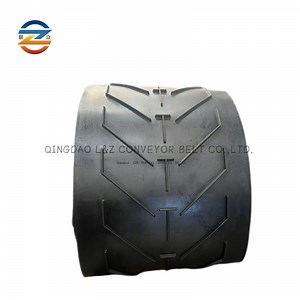[Hot Item] Bw 1000mm Ep500/4 (5 2) 11mm DIN-Y Chevron C5 V Conveyor Belt