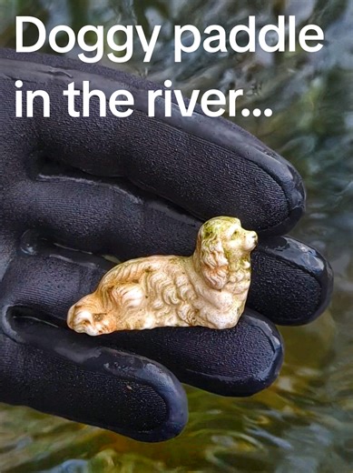 Exploring The History of Small Dogs by the River