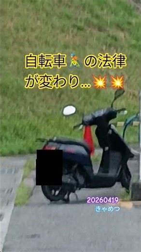 原付🛵4月から道交法が変わり自転車🚴乗りにくい事態が…😱原付選択もありかもって思う🙀🙀🙀 トラックちゃん #原付バイク #自転車 #道交法 #改正 #不便 #japan #選択