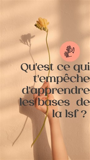 8.3K views · 406 reactions | 朗Bienvenue sur mon compte ! Ici tu apprendras le vocabulaire de base de la langue des signes francaise , mais aussi la méthode du bébé signe . Si un thème t interesse, dis le moi ! Au fait , ma formation en ligne bebe signe est dispo en bio 珞 . . . .#languedessignes #languedessignesfrancaise #tutolsf #japprendslalsf #lsfpourtous #lsfalecole #nantes #nantesmaville #typhainelsf #parleraveclesmains #signeavecmoi #onsigne | Typhaine Ler | Facebook