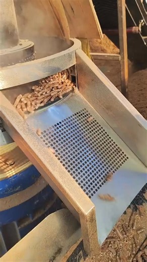 Ring die biomass wood pellet machine. Used for producing combustion pellets, biomass pellets, forage pellets, and organic fertilizer pellets! Raw materials that can be used include: hay, wood chips, sawdust, shavings, organic fertilizer, recycled waste, etc. #OrganicFertilizerPelletMachine #CombustionPelletMachine #WoodPelletMachine #FeedPelletMachine #RingDiePelletMachine #MachineryEquipmentFactory #SolidWastePelletMachine | Charles-Pellet Machine