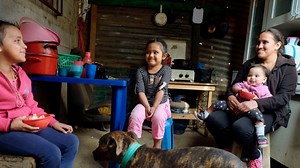 Global Program for Resilient Housing