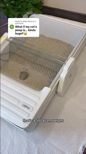 C31 Smart Litter Box | Effortlessly Tackles Even the Biggest Cat Poops!