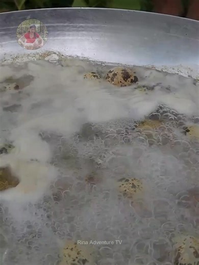 256K views · 3.2K reactions | Catch and Cook Quail Egg Over Fire Part 2 #cooking #food #recipe #fblifestyle | Rina Adventure TV | Facebook