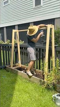 How to build a pea trellis for climbing veggies! #woodworking #gardening #woodworkingplans