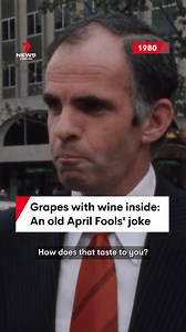 301K views · 629 reactions | In 1980, some Aussies were amazed to learn of a new grape variety with Riesling wine developed inside the fruit. Unfortunately it was just a joke for April Fools' Day. #aprilfool #aprilfools #aprilfoolsday #prank #joke #grape #wine #whitewine #riesling #science #fruit #drink #drinks #retro #history #archive #footage #7NEWS | 7NEWS Sydney | Facebook