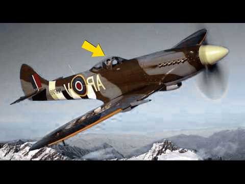 The Spitfire That Even Germany Admitted Was Better Than the P-51...