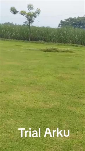 Exploring Arki: The Art of Traditional Kite Making