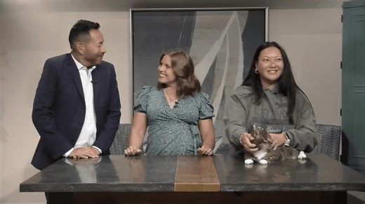 Place a Pet: Broccoli the cat