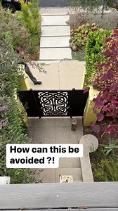 325K views · 714 reactions | Reasons why you need a guard dog | Jennifer Harrison | Facebook