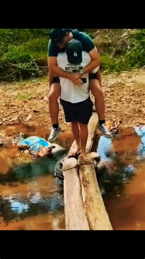 Epic Funny Fails 🤣🤣 #funny #fails #funnymoments #shorts