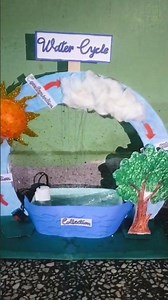 Working Water Cycle Project Idea #diy #project #watercycle