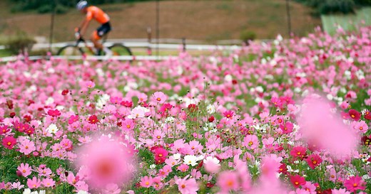 IOC Climate Action Awards