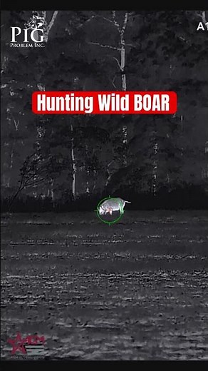 Book your hunt today at Pig Problem! #hunting #boarhunting #pigfeed #hoghunting #agmrattlerv3