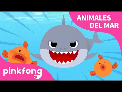 Tiburón | Animales del Mar | Animales para niños | Pinkfong Canciones Infantiles