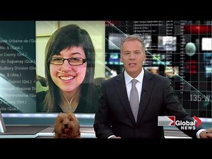 Storm the weather dog steals spotlight