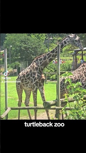 turtle back zoo new jersey