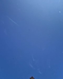 112K views · 539 reactions | Summer content idea  Press record, sink your camera to the bottom of a pool, + wait for the surface to get smooth ‍♂️ #GoProYourSummer awards recipient Thomas Hubener has it all figured out ☀️ Did you know that all of our cameras are waterproof out of the box without a housing? Learn more at GoPro.com | GoPro | Facebook