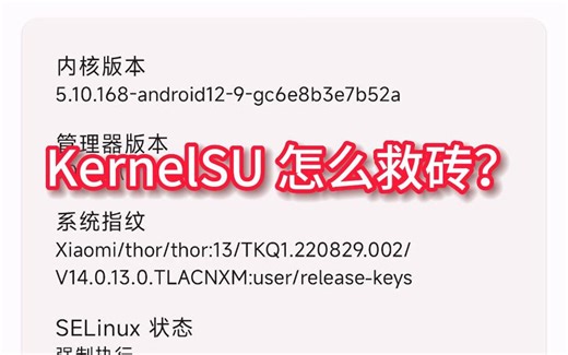 KernelSU 怎么救砖
