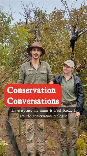 13K views · 281 reactions |  Kangaroo Island | Conservation in...